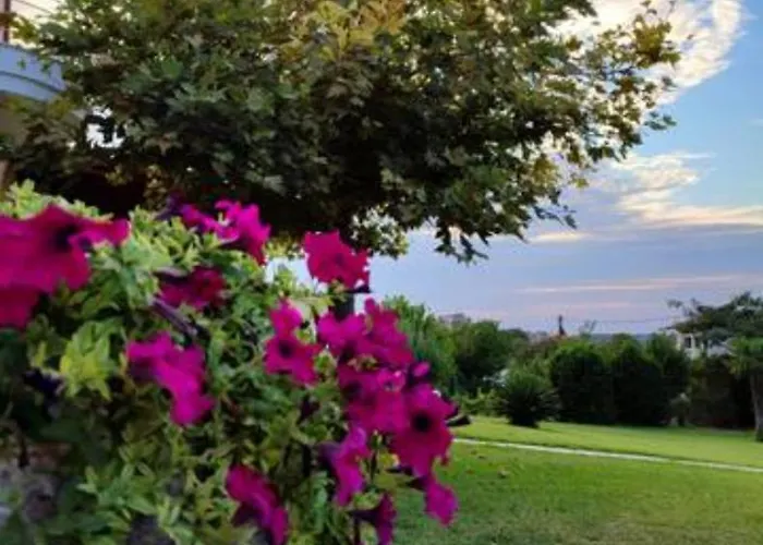 Wonderful With Great View In Posidi-kalandra Kalandra